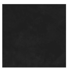 Evolution Nero Керамогранит чёрный SG603920R 60х60 Матовый Карвинг