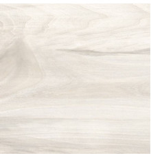 GFA92ATN04R керамогранит матовый Ashton 200*900*9 (7 шт в уп/56,7 м в пал)