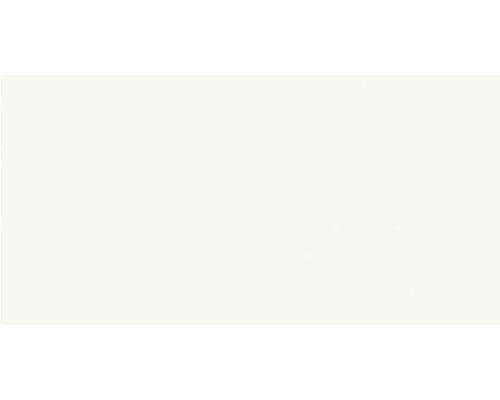 Snow White WT9SWW00 Плитка настенная 249*500*7.5 (12 шт в уп/80.676 м в пал)