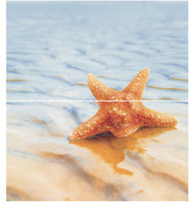 Dec Starfish 1 Panno (панно из 2-х шт) КПН16Starfish1 50х45