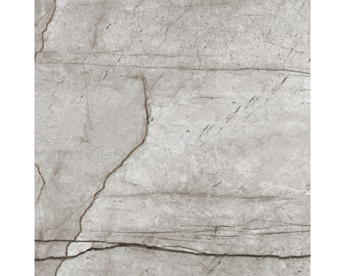 Obsidian Moss Gray Керамогранит 60х60 Полированный