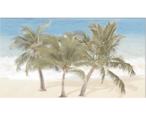 Dec Tropic 3 Декор КВС16Tropic3 25х45