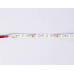 Лента светодиодная Ambrella Light GS GS3101