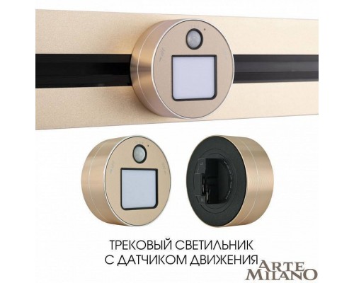 Накладной светильник Arte Milano Am-track-sockets 380011TLS/LWS Gold