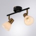 Спот Arte Lamp Falena A3117PL-2BK