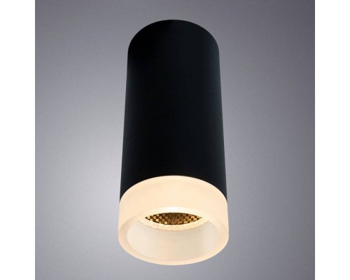 Накладной светильник Arte Lamp Ogma A5556PL-1BK