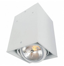 Накладной светильник Arte Lamp Cardani A5936PL-1WH