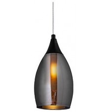 Подвесной светильник Arte Lamp Barry A7951SP-1BK