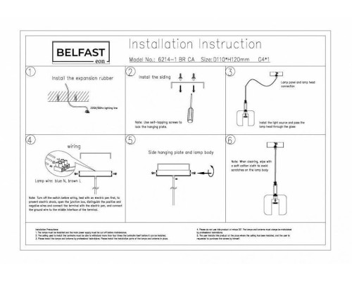 Подвесной светильник Belfast Pansy 6214-1 BR CA