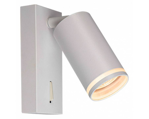 Бра Brizzi Aras BR08079