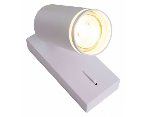 Бра Brizzi Aras BR08079