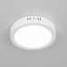 Накладной светильник Citilux Галс CL5516N