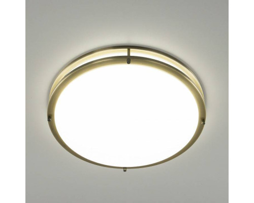 Накладной светильник Citilux Бостон CL709503N