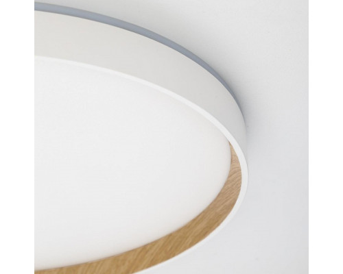 Накладной светильник Citilux ETALON CL750400R