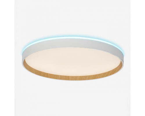 Накладной светильник Citilux ETALON CL750400R