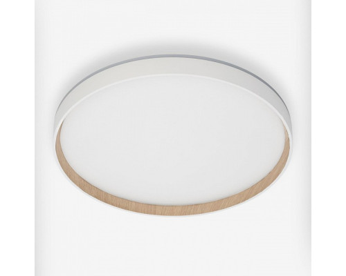 Накладной светильник Citilux ETALON CL750400R