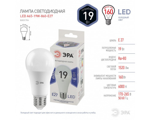 Лампа светодиодная Эра Стандарт LED A65-19W-860-E27