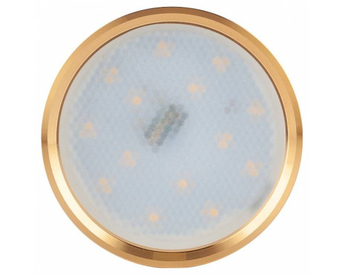 Накладной светильник Эра OL7 GX53 GD/CH Б0048532