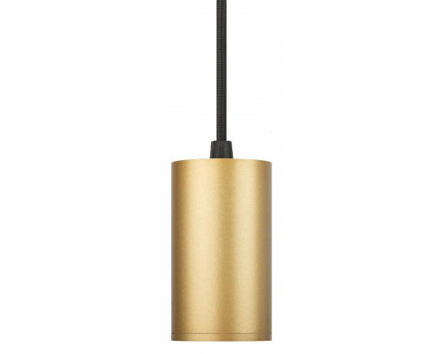 Подвесной светильник Эра  TR45 - GU10 S MG