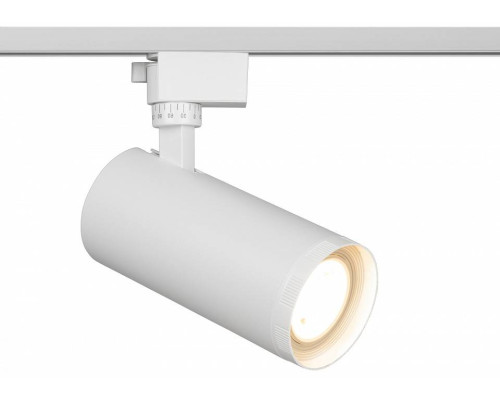 Светильник на штанге Эра  TR59 - 3030 WH