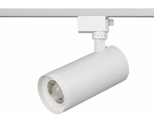 Светильник на штанге Эра  TR59 - 3030 WH