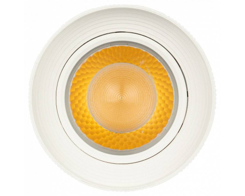 Светильник на штанге Эра  TR59 - 3030 WH