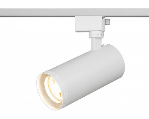 Светильник на штанге Эра  TR59 - 3030 WH