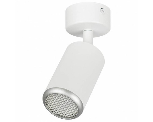 Спот Эра  OL55 WH/SL