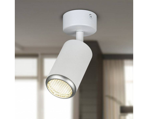 Спот Эра  OL55 WH/SL