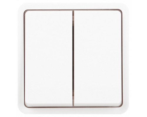 Переключатель двухклавишный Эра Эра Эксперт 11-1526-01