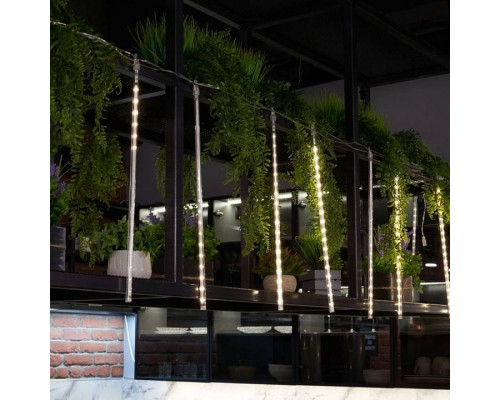 Занавес световой Feron CL586 51452