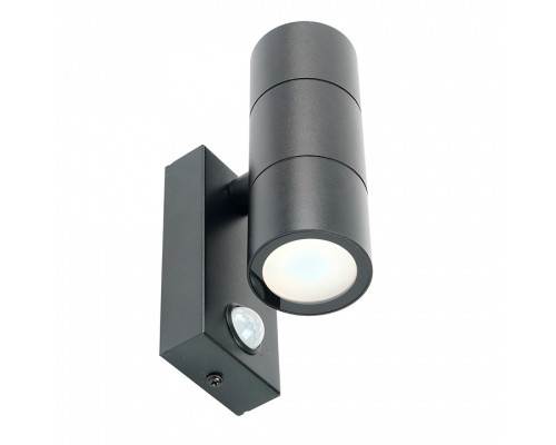 Накладной светильник Feron Бостон 51964