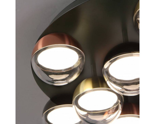 Потолочная люстра Favourite Luna 4371-12C