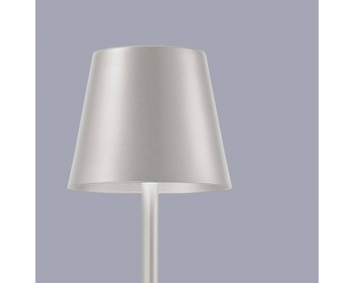 Настольная лампа декоративная F-promo Pyari 4617-1T