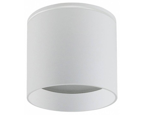 Накладной светильник Favourite Fantum 4662-1U