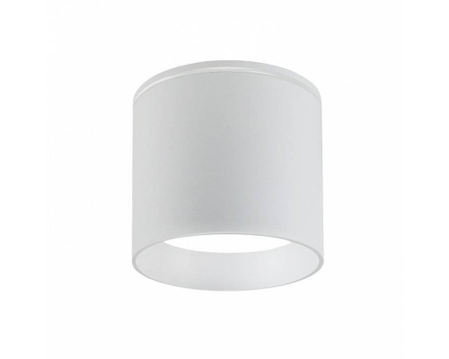 Накладной светильник Favourite Fantum 4662-1U