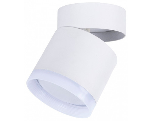 Накладной светильник Favourite Dixi 4709-1C