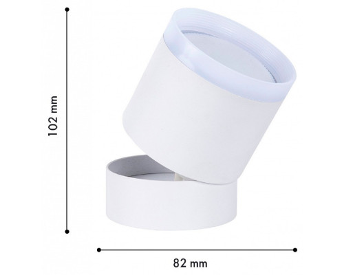 Накладной светильник Favourite Dixi 4709-1C