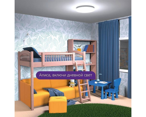 Светильник светодиодный накладной Gauss Smart Home круг 12 Вт CCT+RGB 2050112