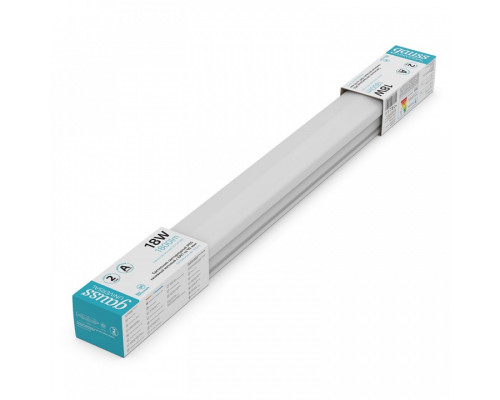 Накладной светильник Gauss  843424218A