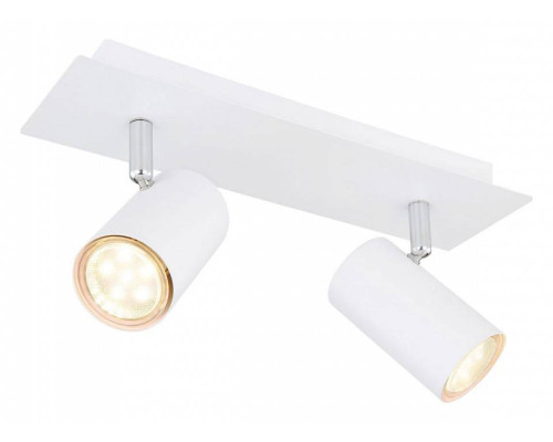 Спот Globo Robby 57910-2W