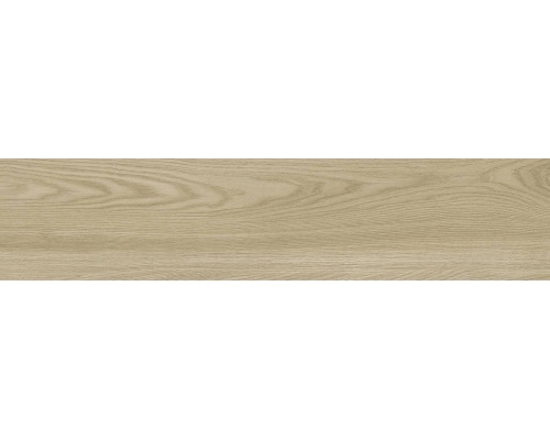 GFA92ADR40R керамогранит матовый Andora 200*900*9 (8 шт в уп/64,8 м в пал)