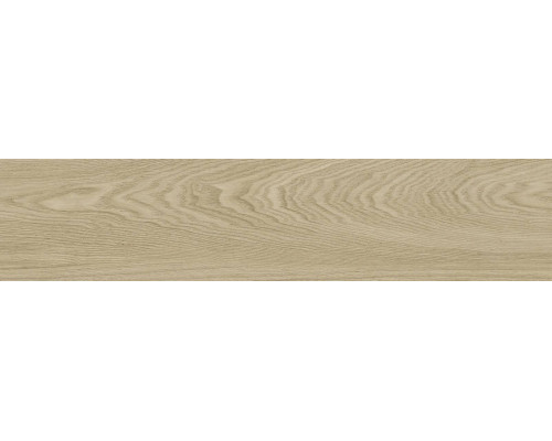 GFA92ADR40R керамогранит матовый Andora 200*900*9 (8 шт в уп/64,8 м в пал)