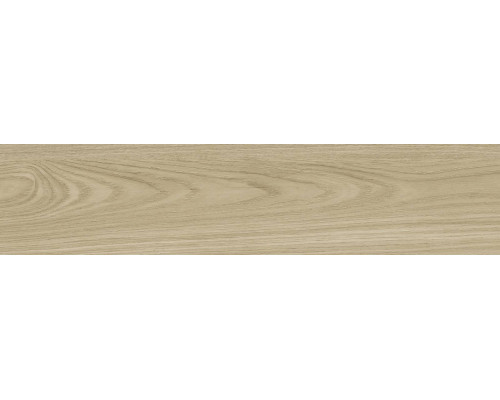 GFA92ADR40R керамогранит матовый Andora 200*900*9 (8 шт в уп/64,8 м в пал)