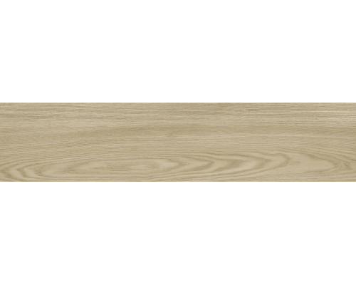 GFA92ADR40R керамогранит матовый Andora 200*900*9 (8 шт в уп/64,8 м в пал)