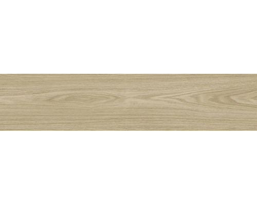 GFA92ADR40R керамогранит матовый Andora 200*900*9 (8 шт в уп/64,8 м в пал)