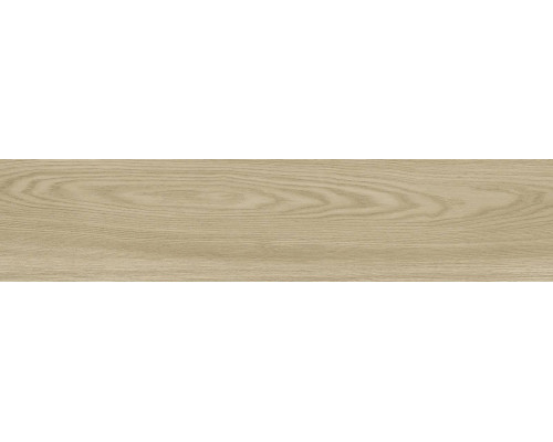 GFA92ADR40R керамогранит матовый Andora 200*900*9 (8 шт в уп/64,8 м в пал)