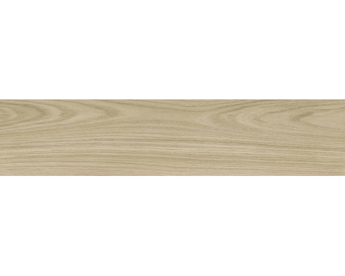 GFA92ADR40R керамогранит матовый Andora 200*900*9 (8 шт в уп/64,8 м в пал)