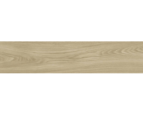 GFA92ADR40R керамогранит матовый Andora 200*900*9 (8 шт в уп/64,8 м в пал)