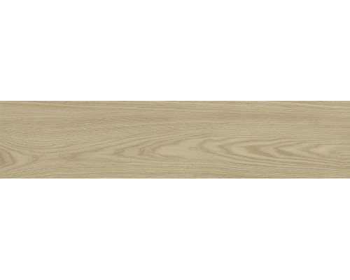 GFA92ADR40R керамогранит матовый Andora 200*900*9 (8 шт в уп/64,8 м в пал)